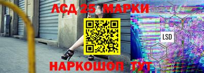 Альфа ПВП Аргун