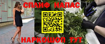 Альфа ПВП Аргун