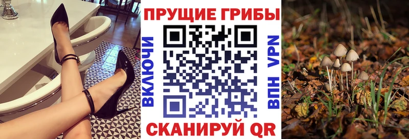 Галлюциногенные грибы мицелий  Владимир 